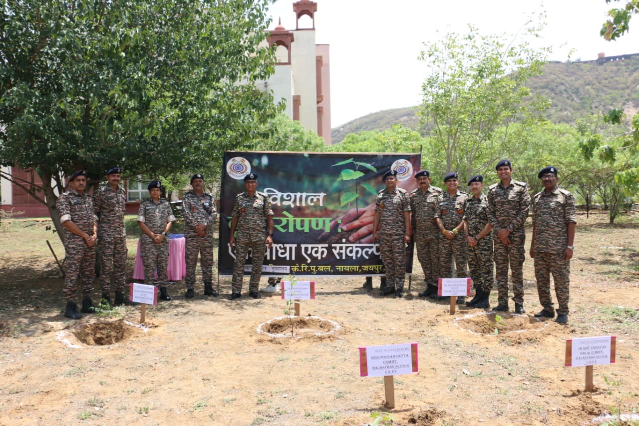   TREE PLANTATION