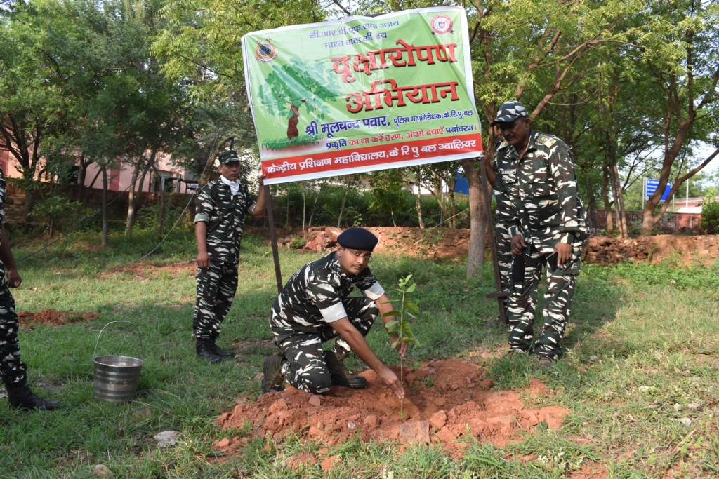   Tree Plantation