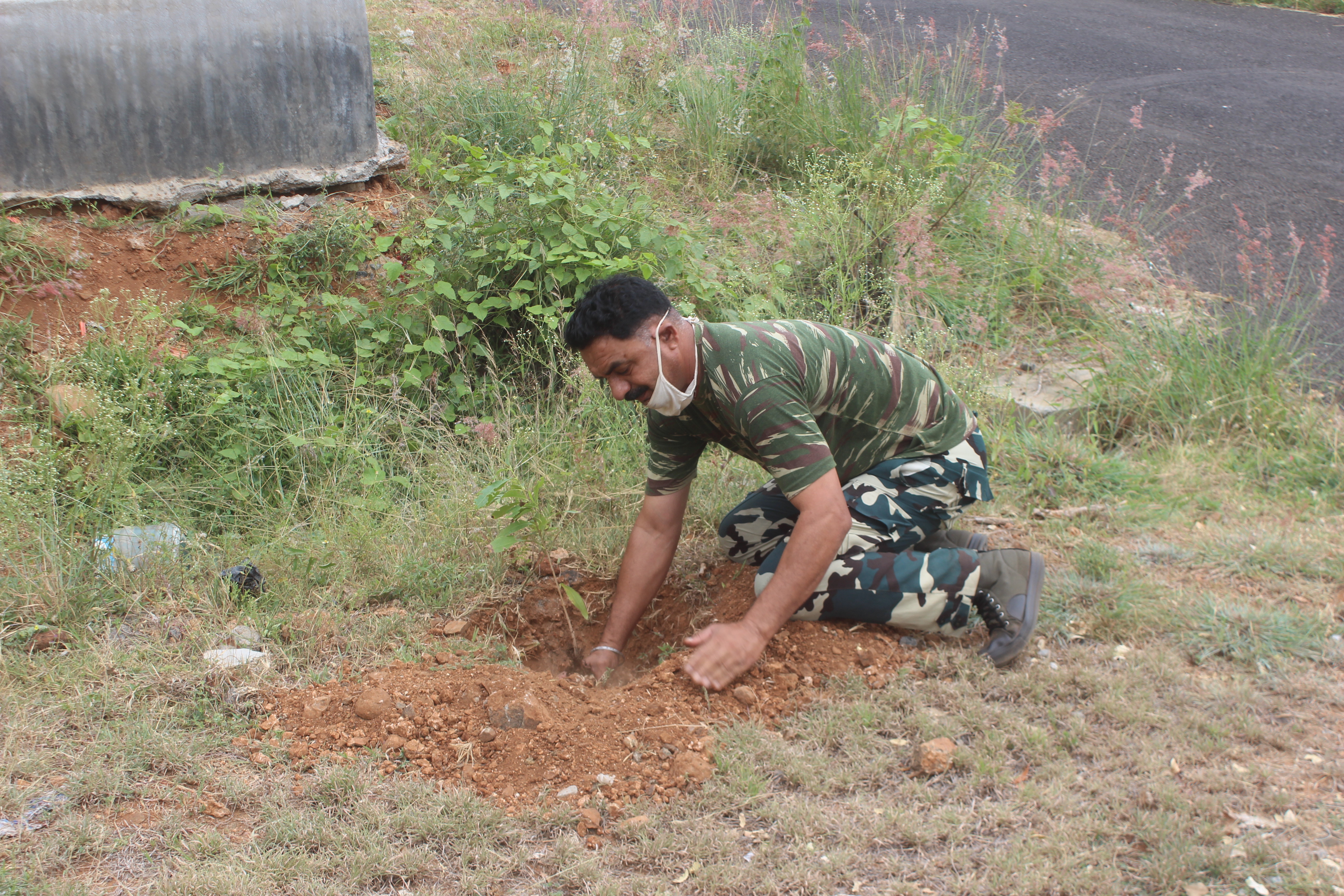   TREE PLANTATION LATEST