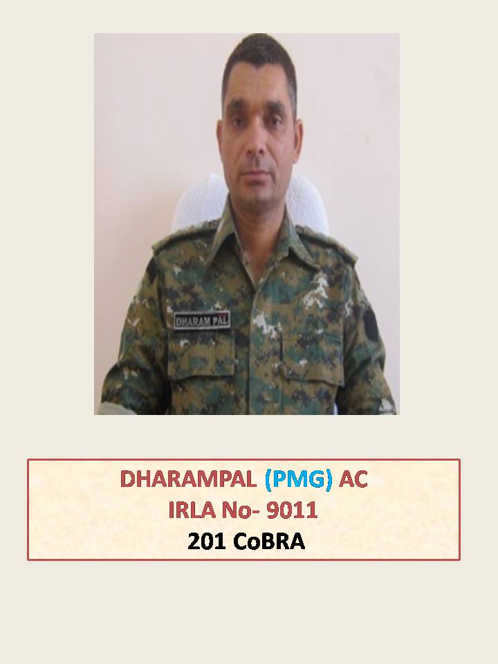   फोटो गैलरी