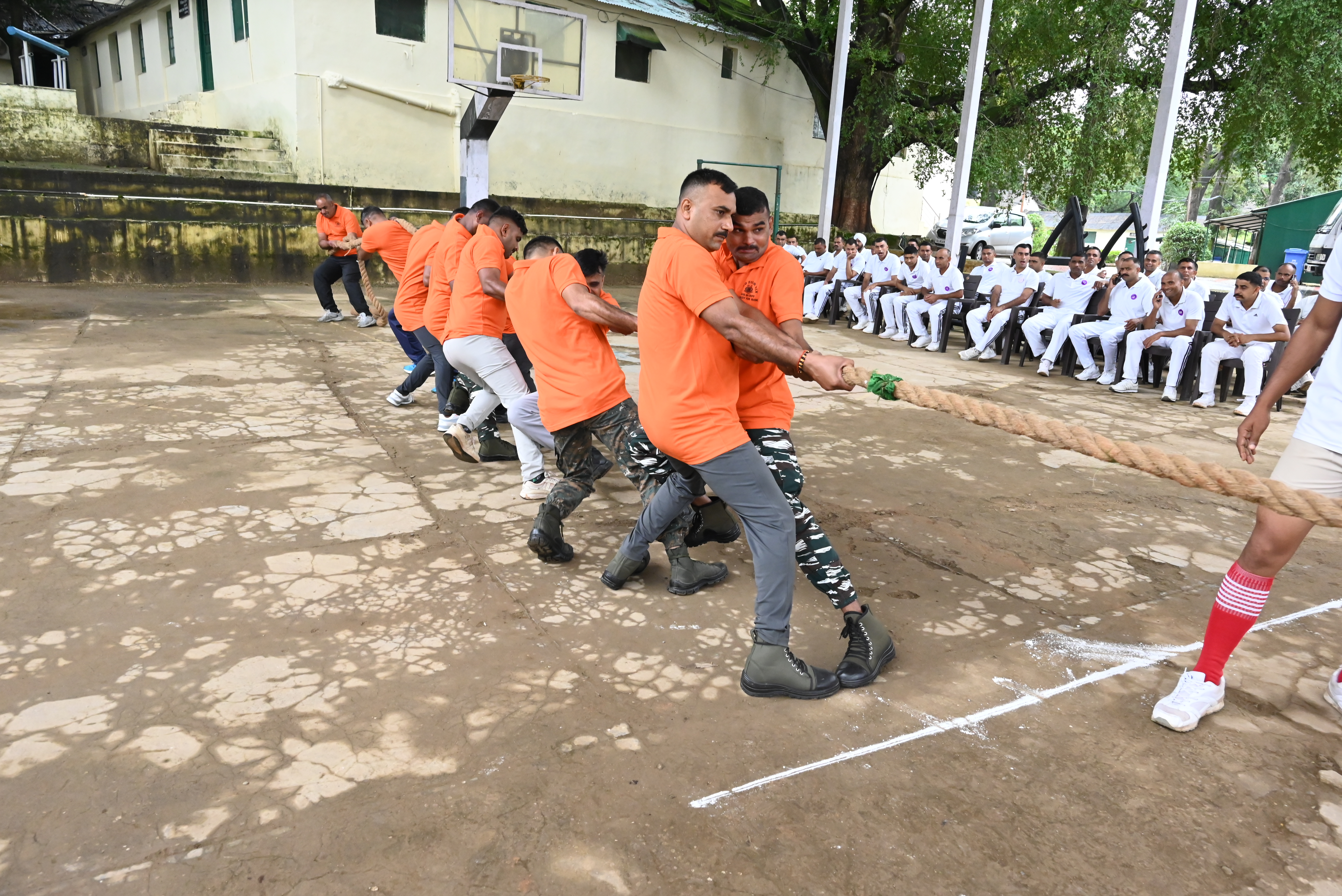  flag hosting