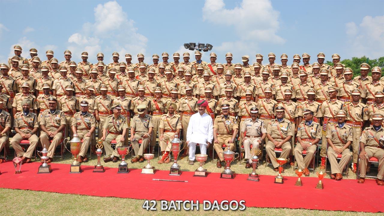   42 BATCH DAGOs