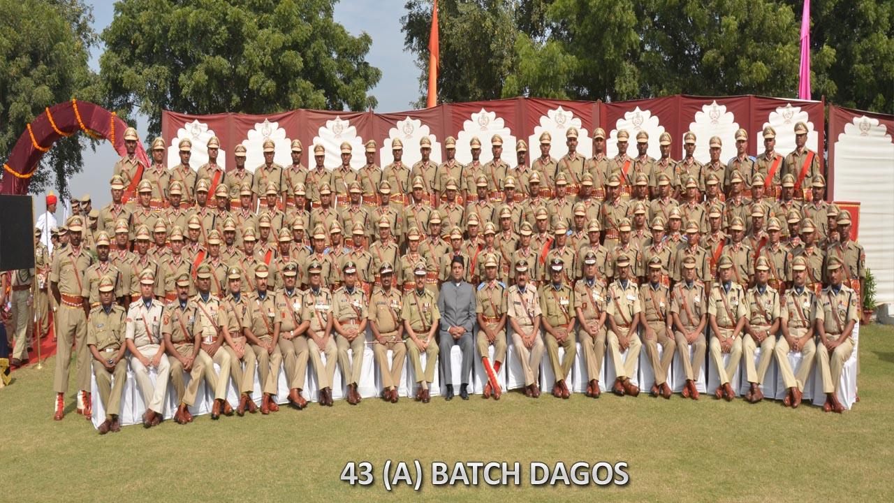   43 BATCH DAGOs