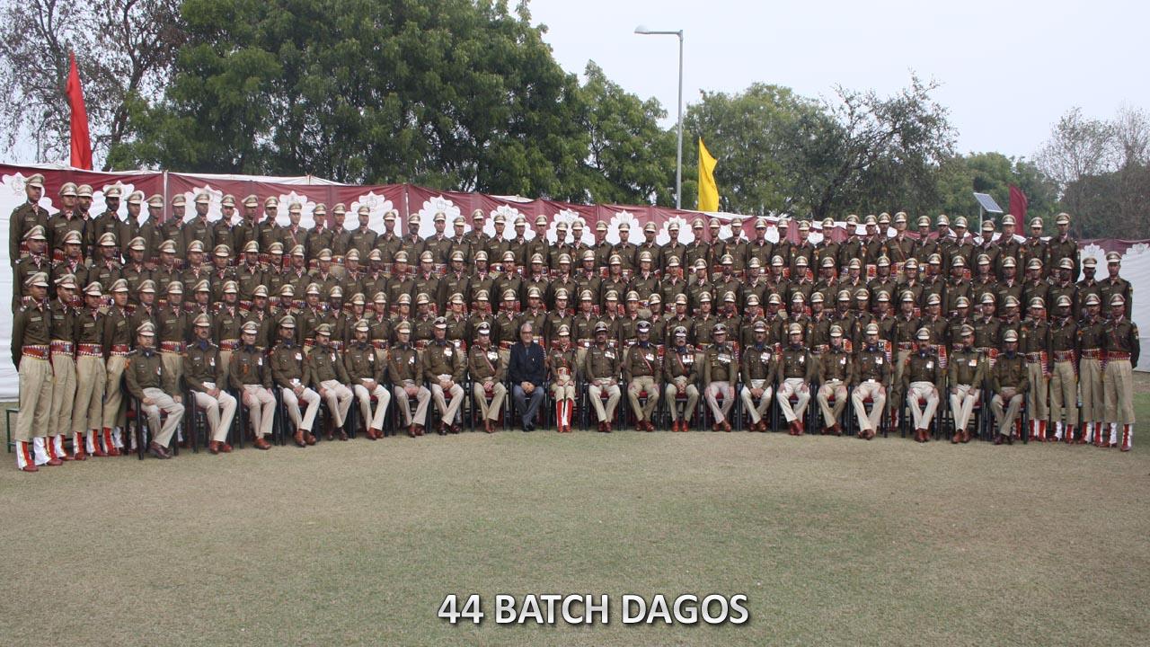   44 BATCH DAGOs