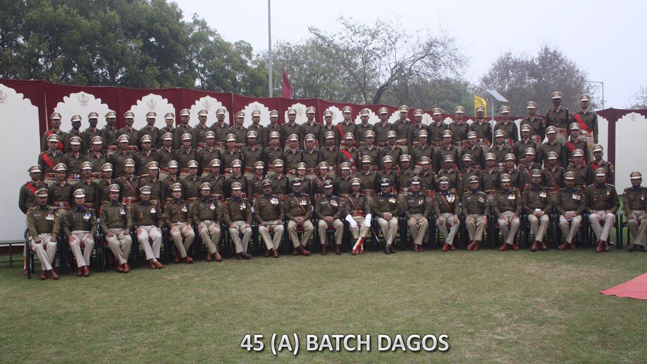   45 BATCH DAGOs