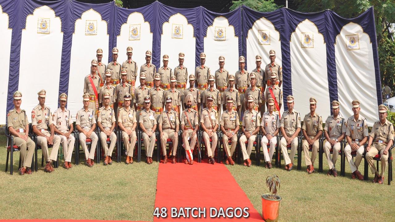   48 BATCH DAGOs