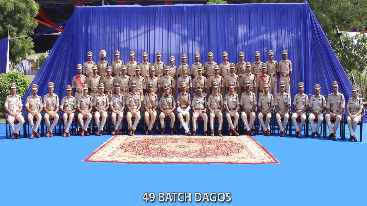    49 BATCH DAGOs