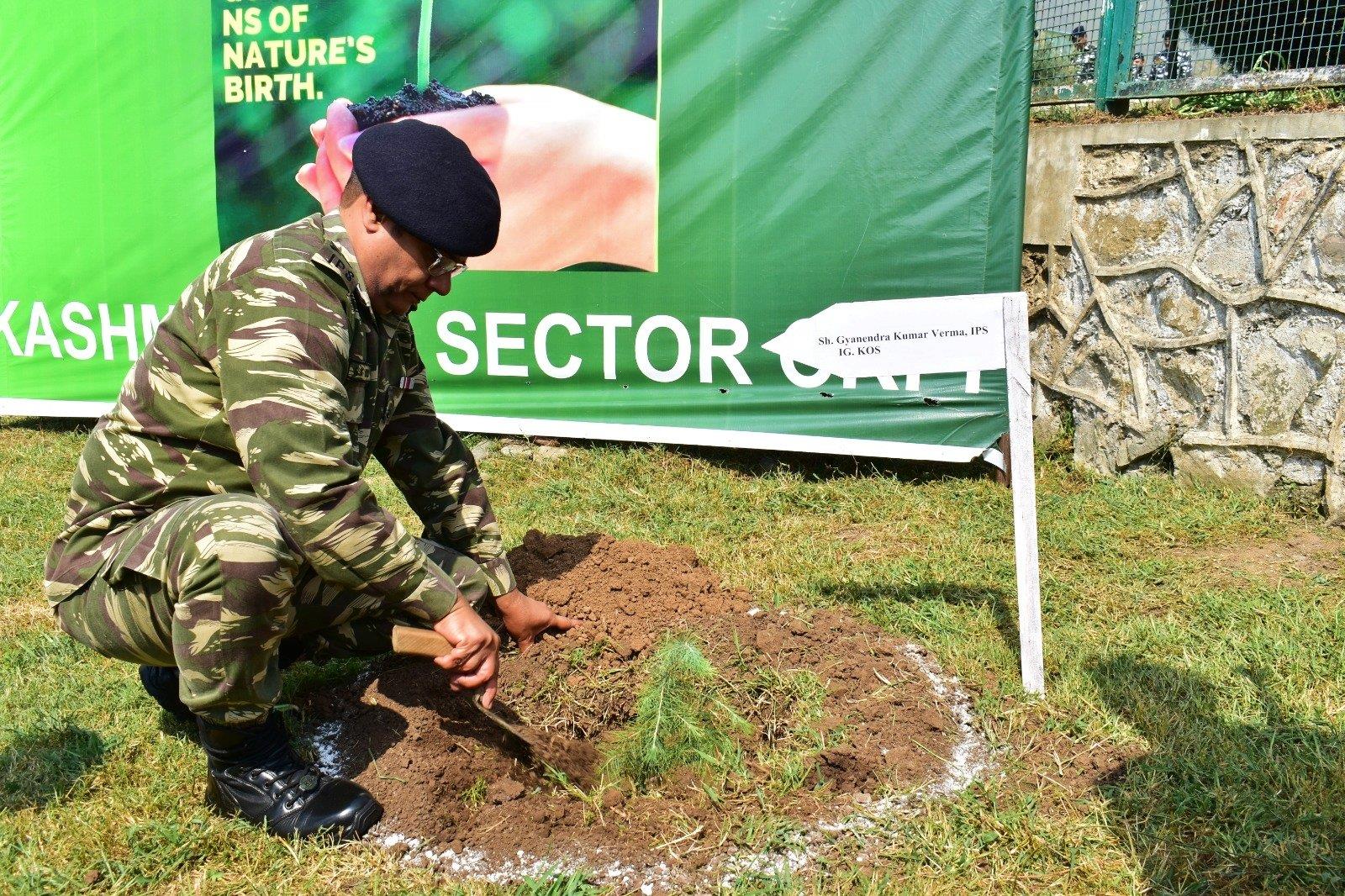   Tree  Plantation Drive at Kashmir Ops Sector