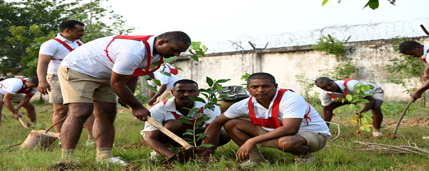 PLANTATION
