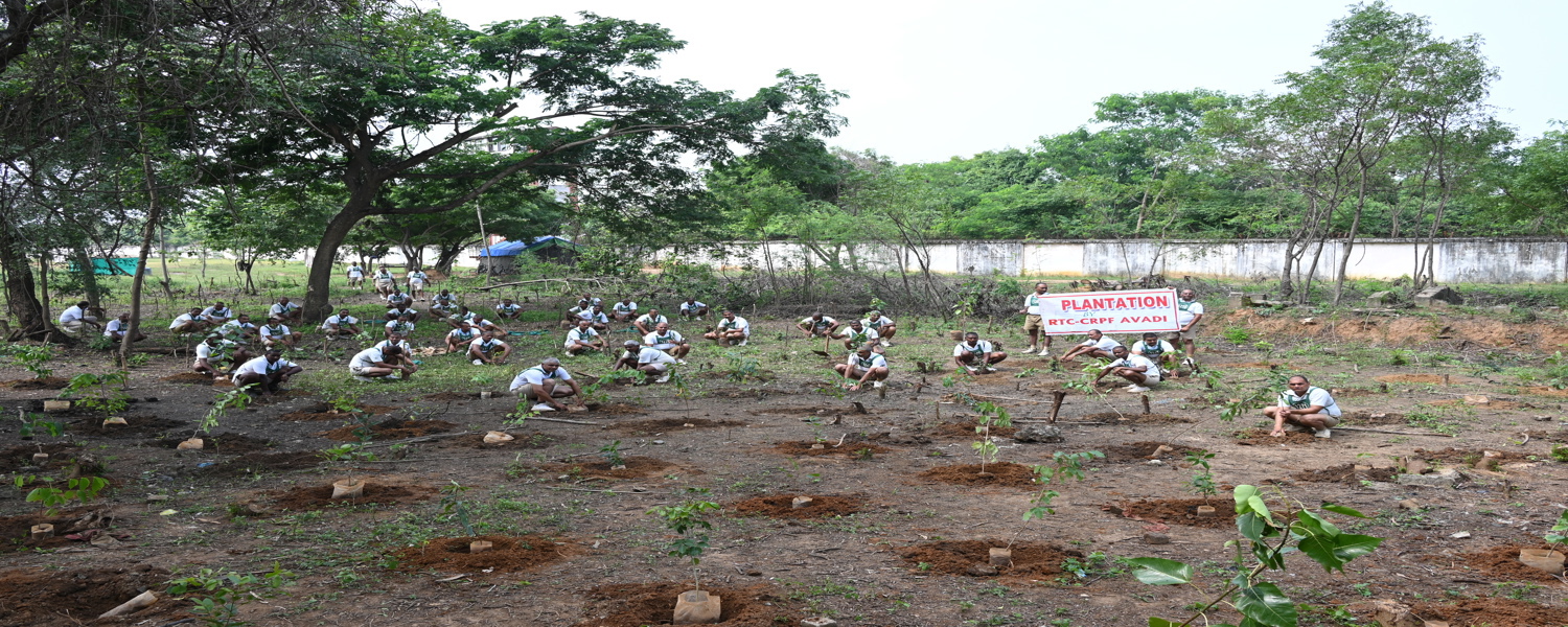PLANTATION