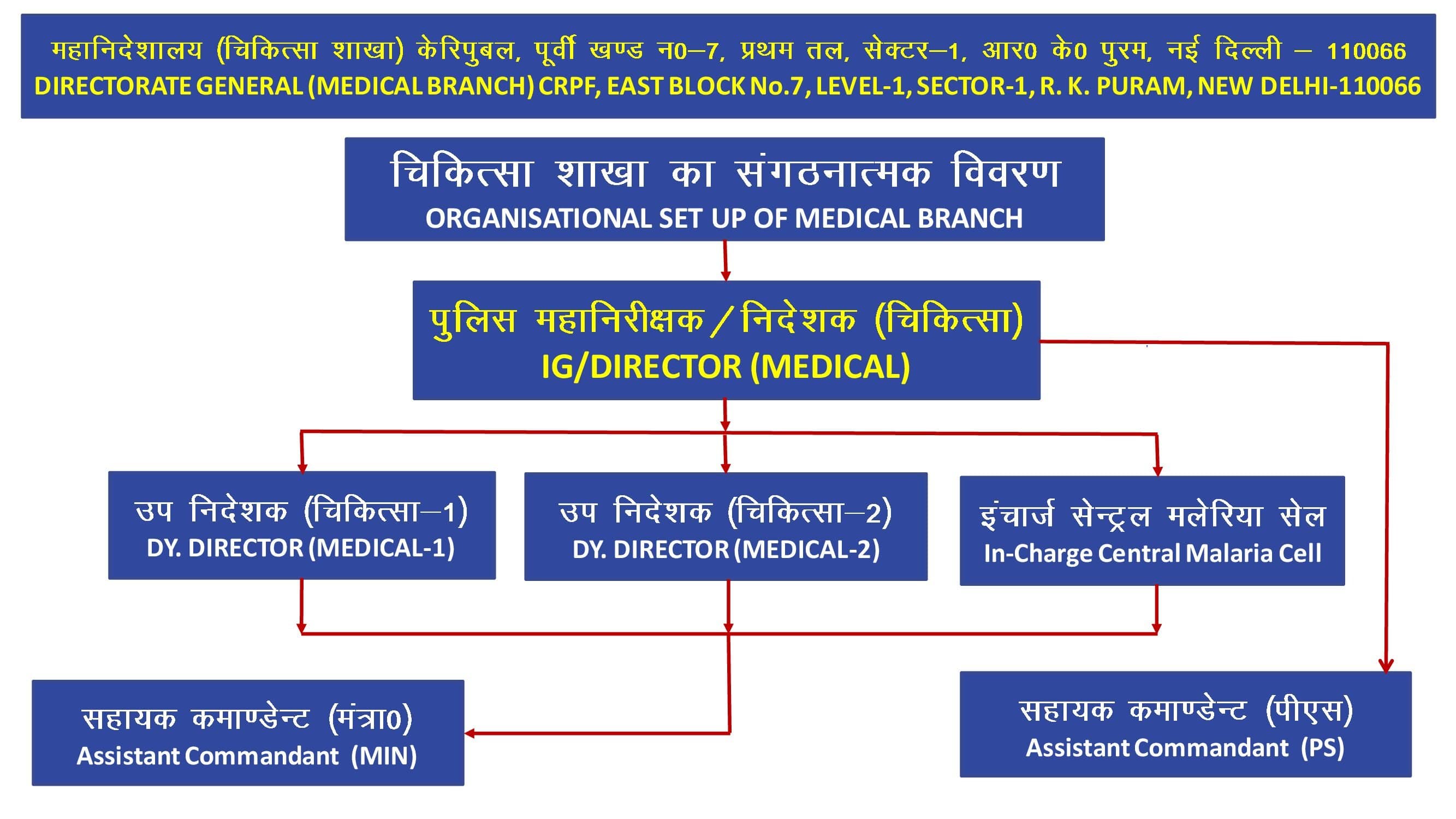 मेडिकल निदेशालय पदानुक्रम